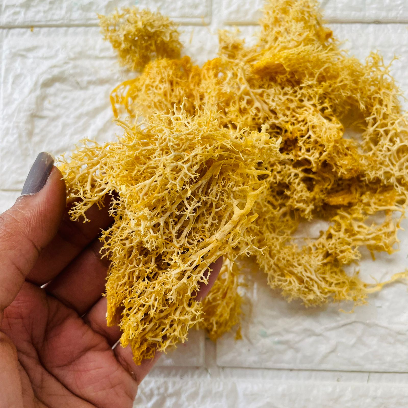 Yellow Sea Grass