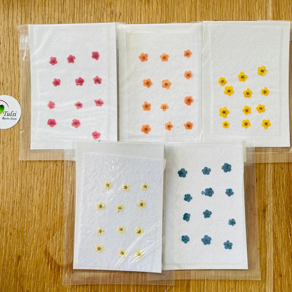 Mini Pressed Flower Sheet (A)