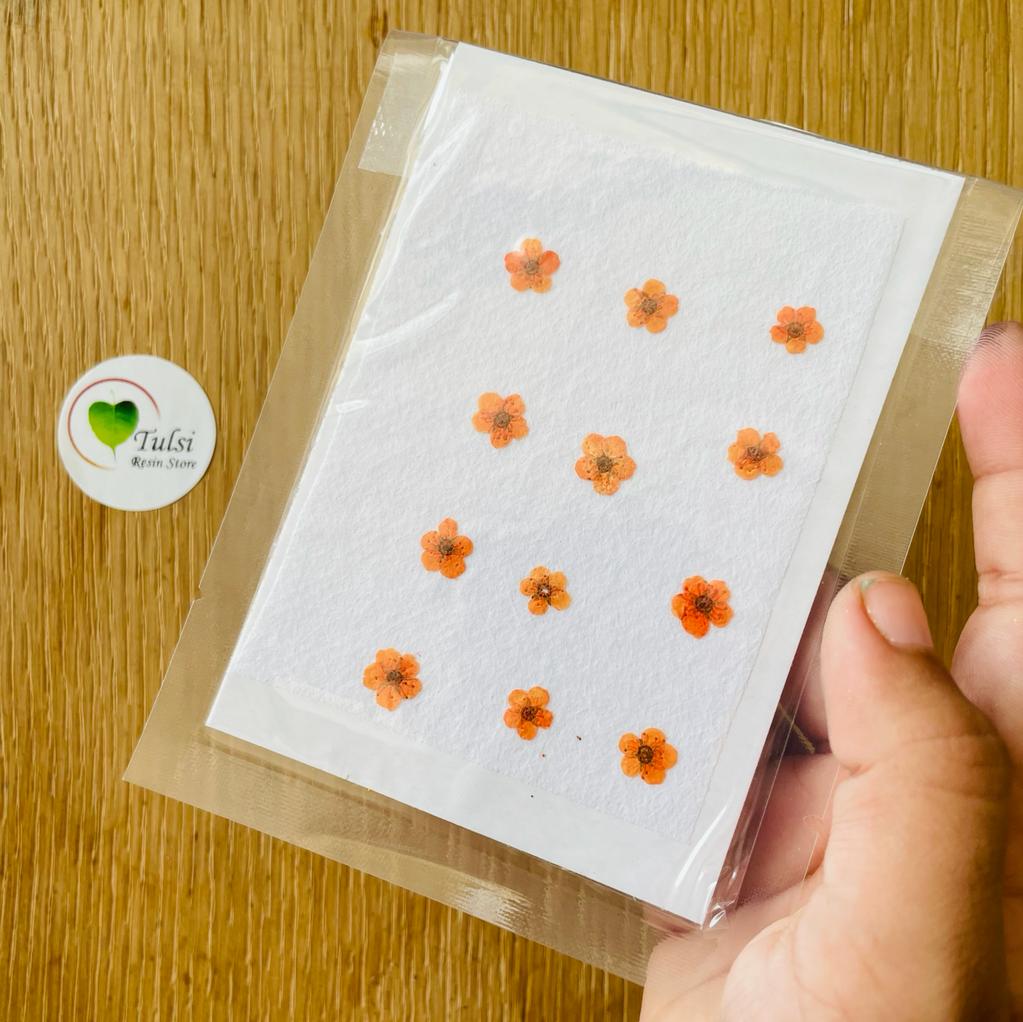 Mini Pressed Flower Sheet (A)