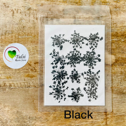 Queen Breath Pressed Flower Sheet