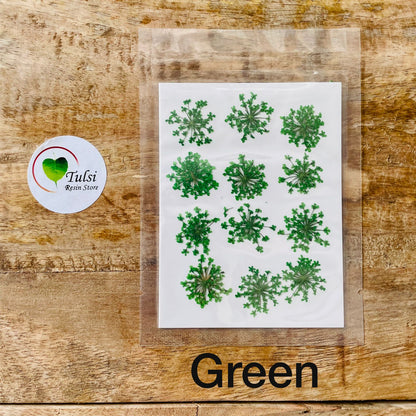 Queen Breath Pressed Flower Sheet