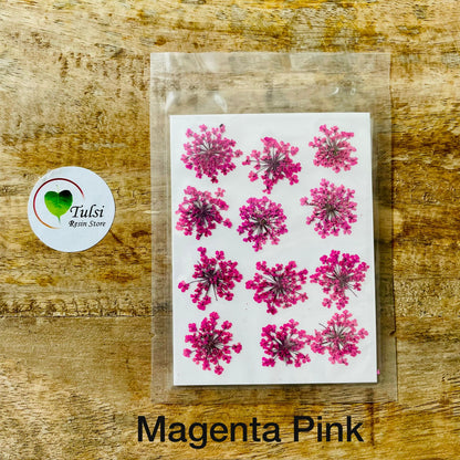 Queen Breath Pressed Flower Sheet