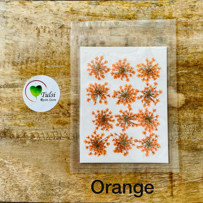 Queen Breath Pressed Flower Sheet