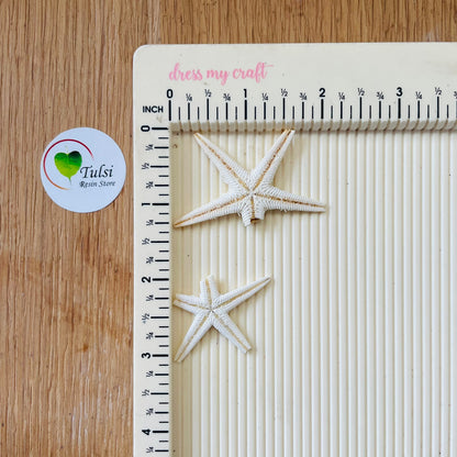 Small Star Fish (5) 2 | Tulsi Resin