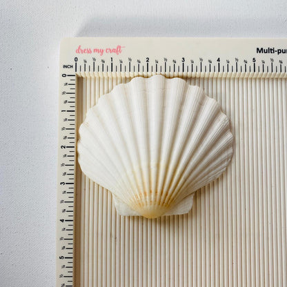 White Mermaid Shell (1)