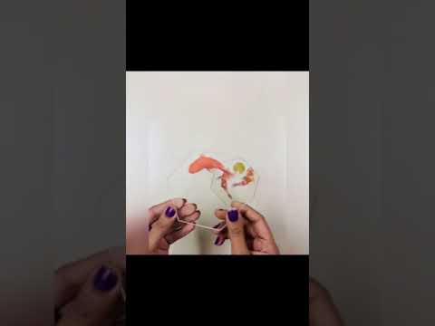 Koi Fish Sticker